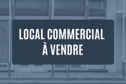 Local commercial à vendre de 658 m² à Sarlat-la-Canéda