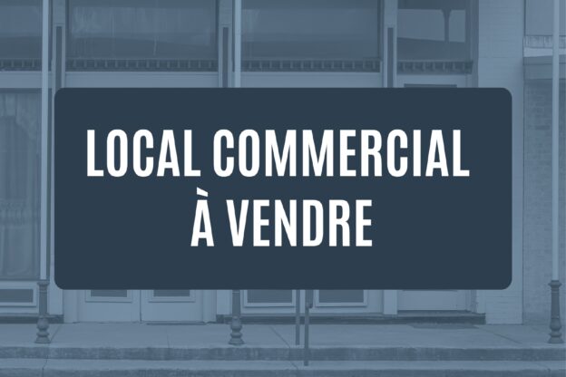 Local commercial à vendre de 658 m² à Sarlat-la-Canéda